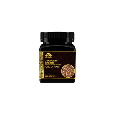 Extracto de Cordy (Cordyceps Extract)